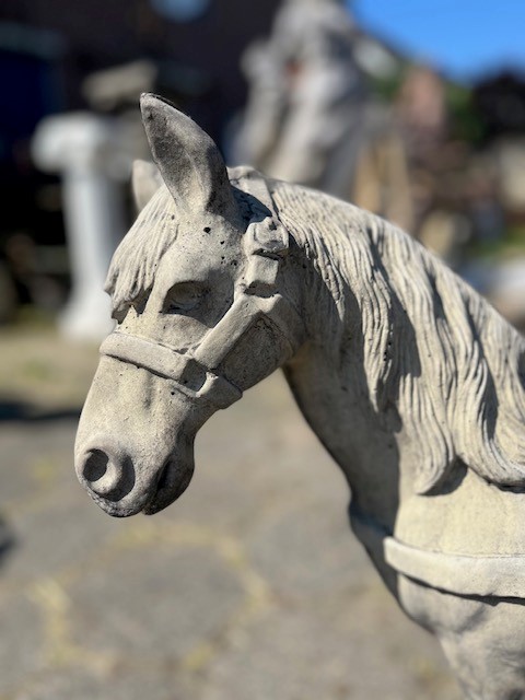 detail paard met beugels B-05010