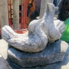 Duivenpaar duivenkoppel op blok