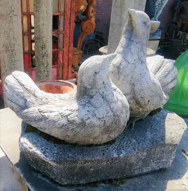 Duivenpaar duivenkoppel op blok